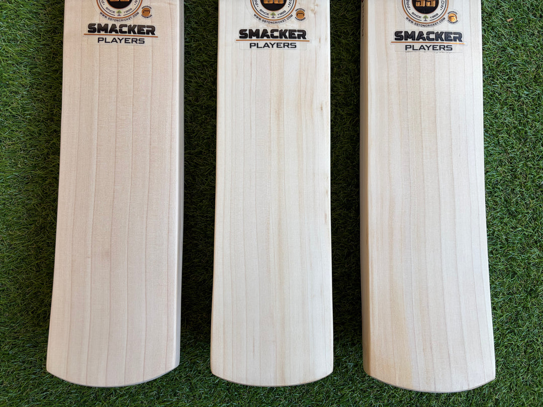 SS TON Smacker Players Cricket Bat | New Model | Low Profile