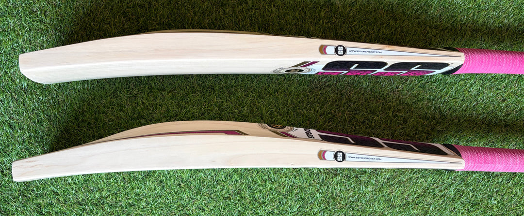 SS TON Gladiator Cricket Bat | Size 5