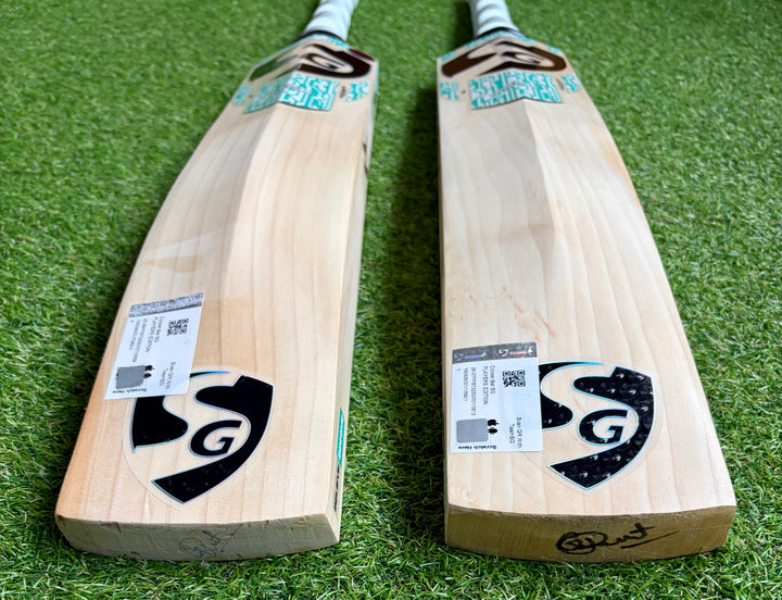 SG Players Edition Cricket Bat | New Model