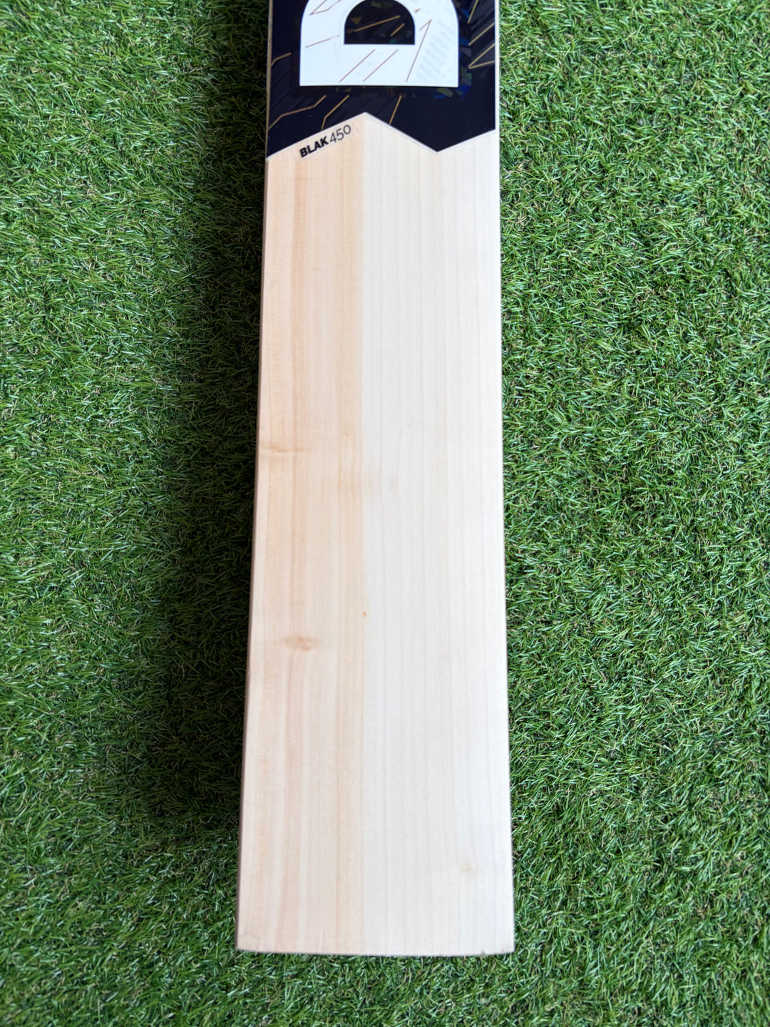DSC Blak 450 Cricket Bat
