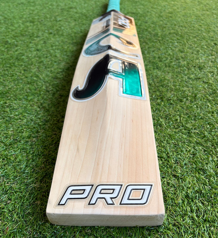CA 10000 Plus Pro Edition Cricket Bat | New Model