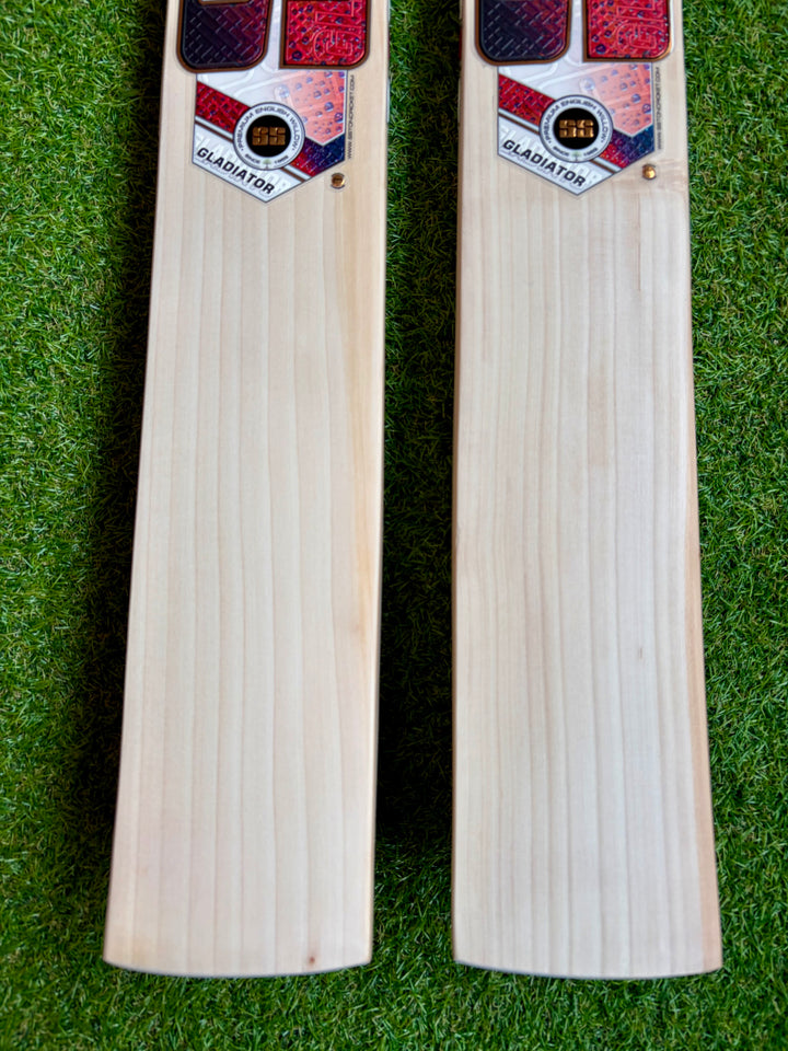 SS TON Gladiator Cricket Bat | Size 6