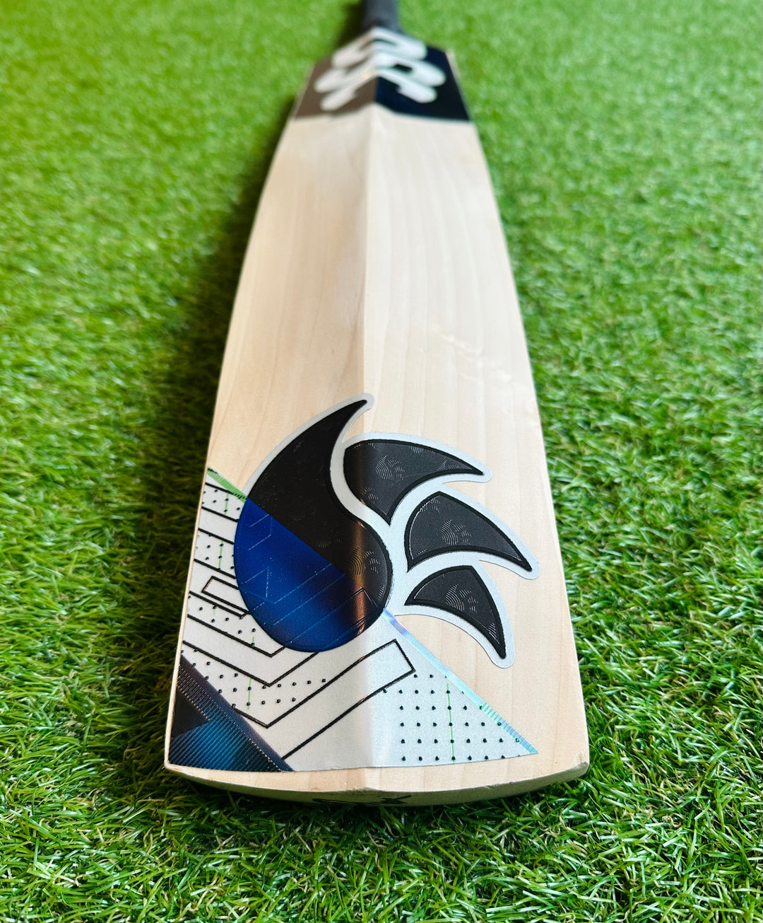 DSC Blak 450 Cricket Bat | New Model