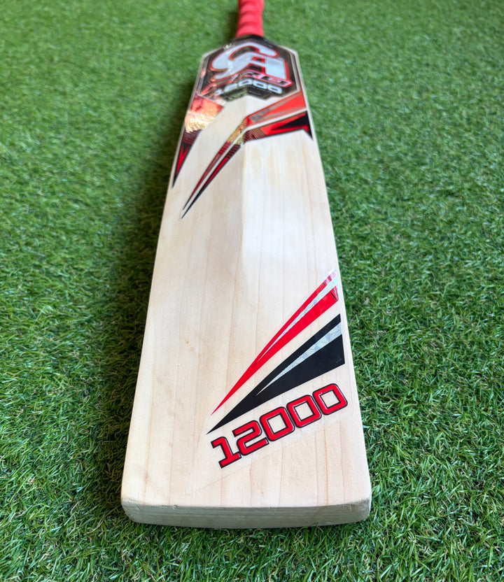 CA 12000 Pro Edition Cricket Bat