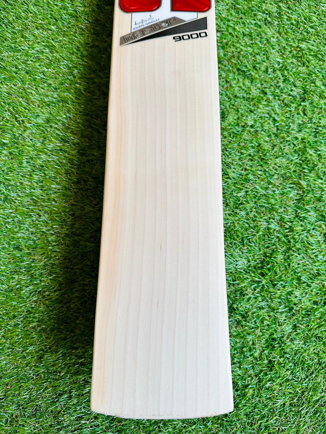 SS TON Master 9000 Cricket Bat