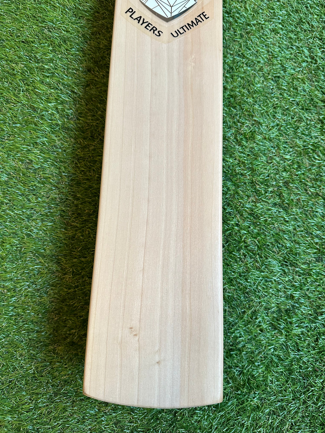 SG Players Ultimate Cricket Bat