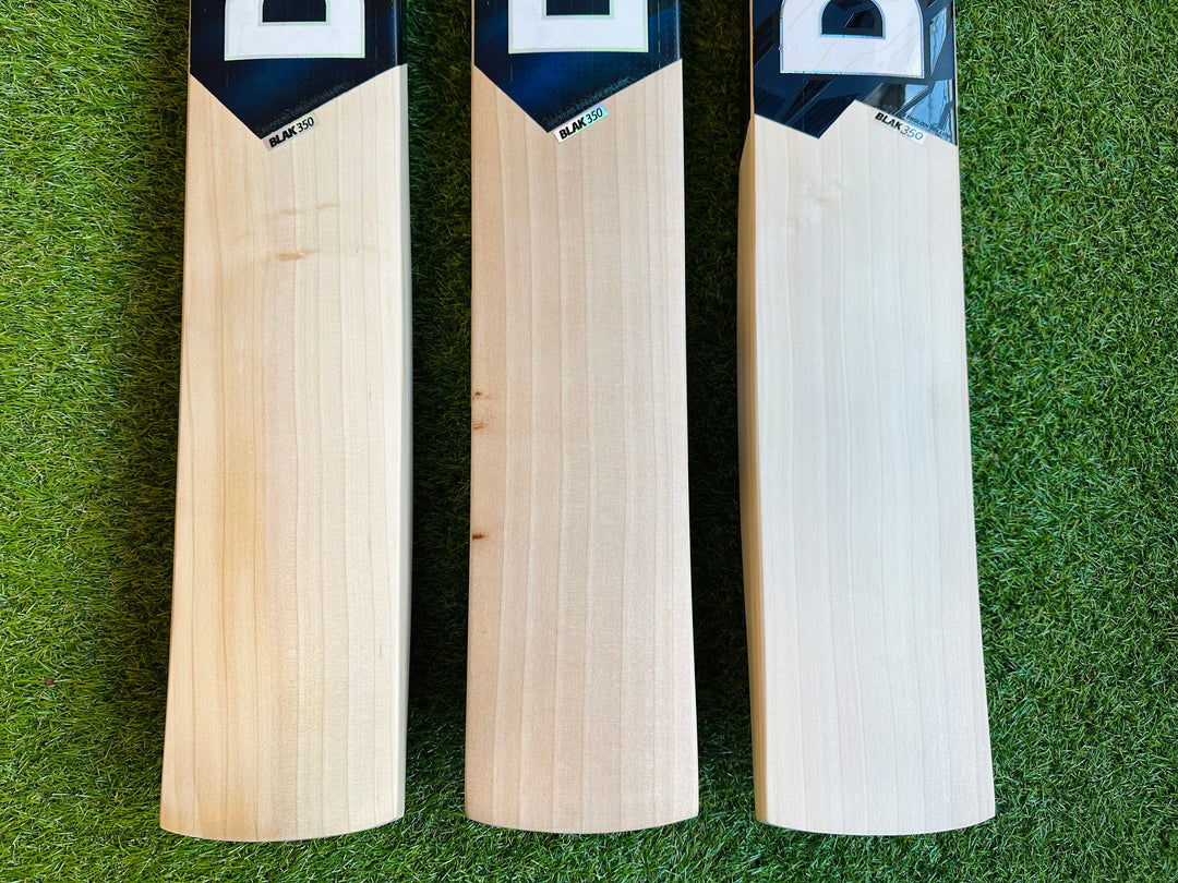 DSC Blak 350 Cricket Bat