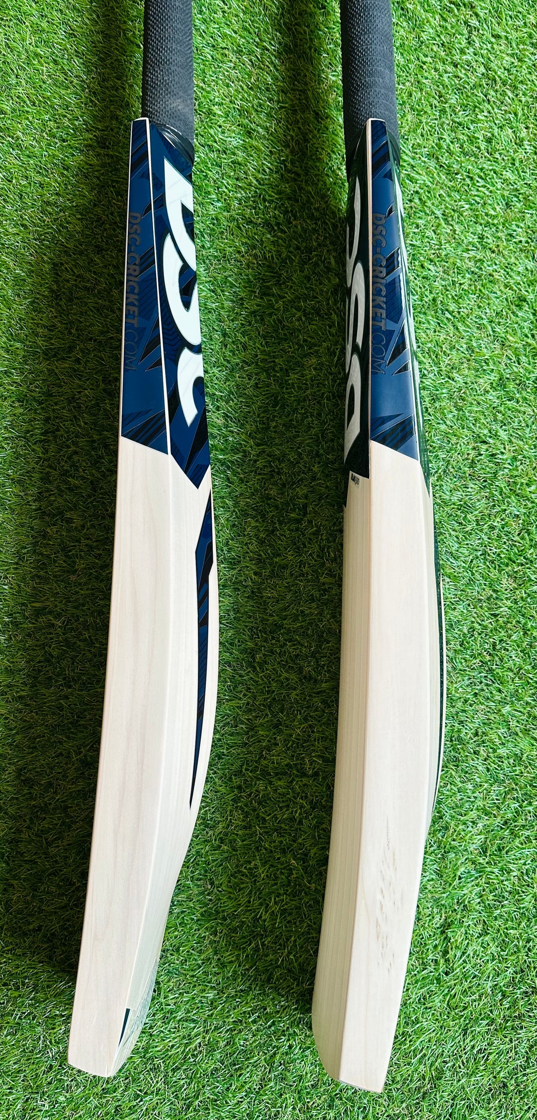 DSC Blak 500 Cricket Bat | 16 Grains