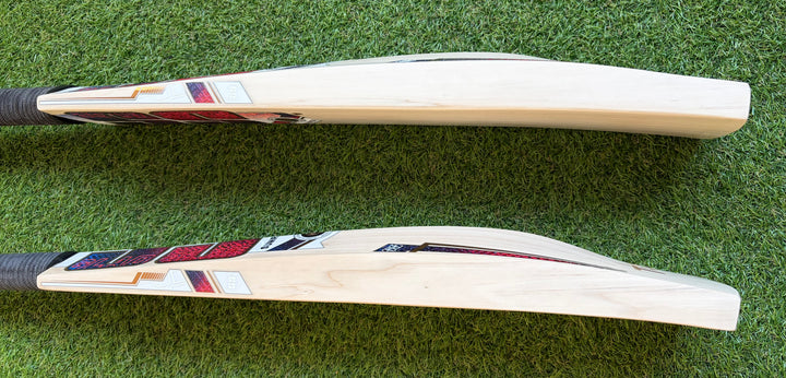 SS TON Gladiator Cricket Bat | Harrow