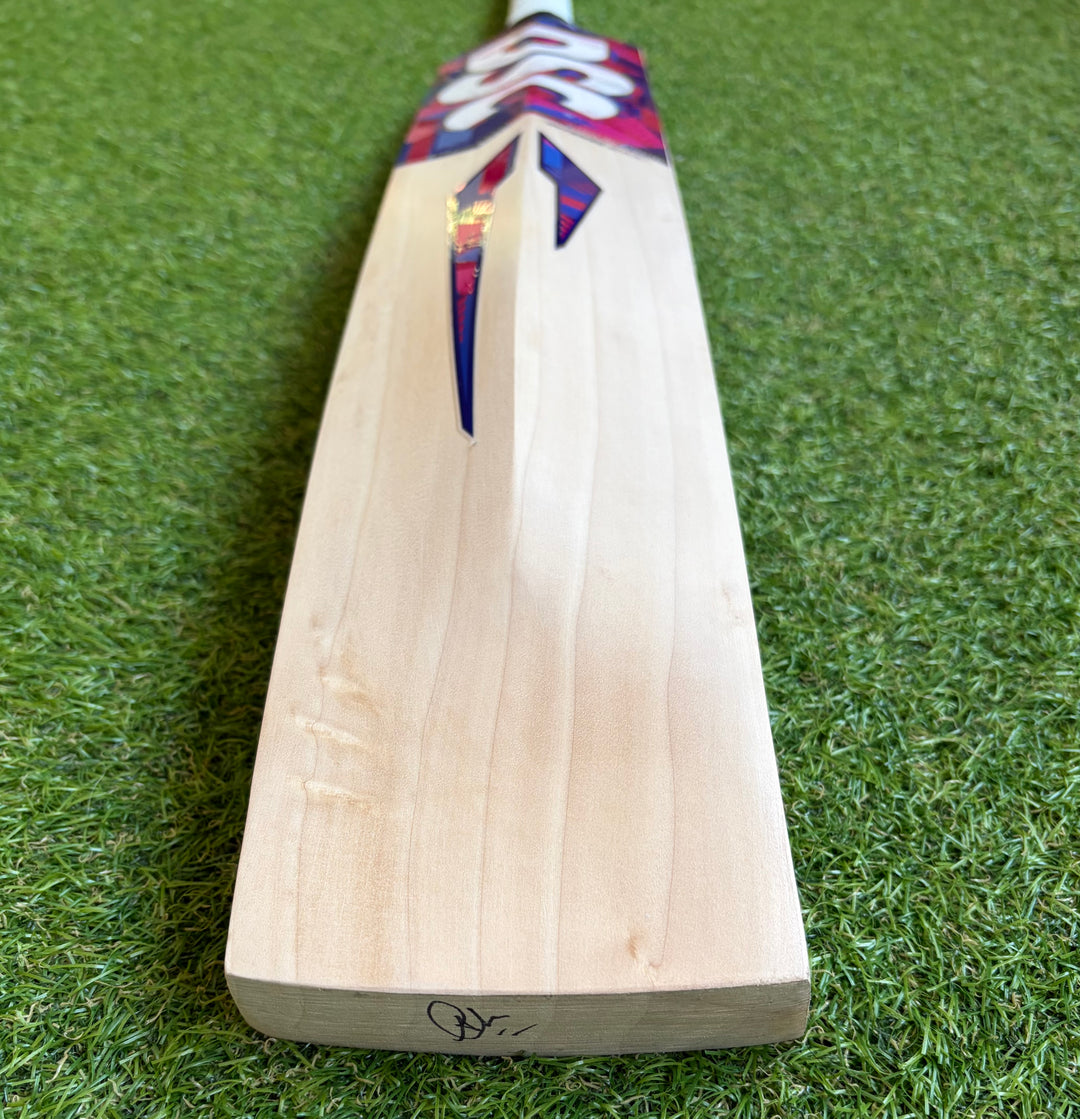 DSC Intense Shoc Cricket Bat