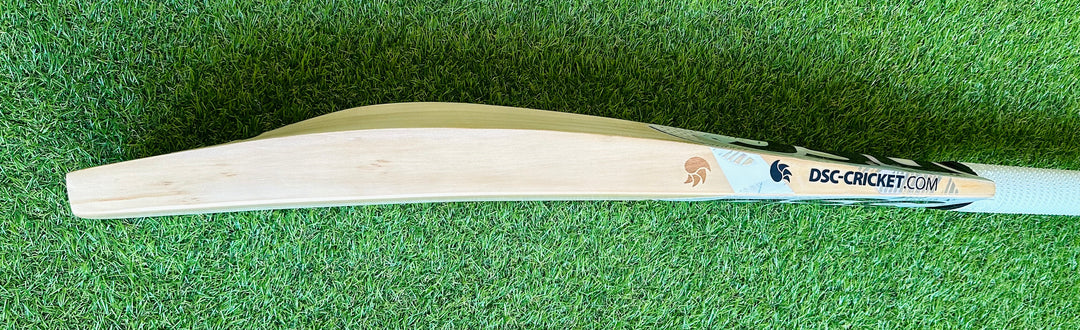DSC Condor Surge Cricket Bat