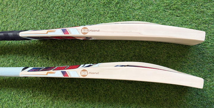 SS TON Gladiator Cricket Bat | New Model