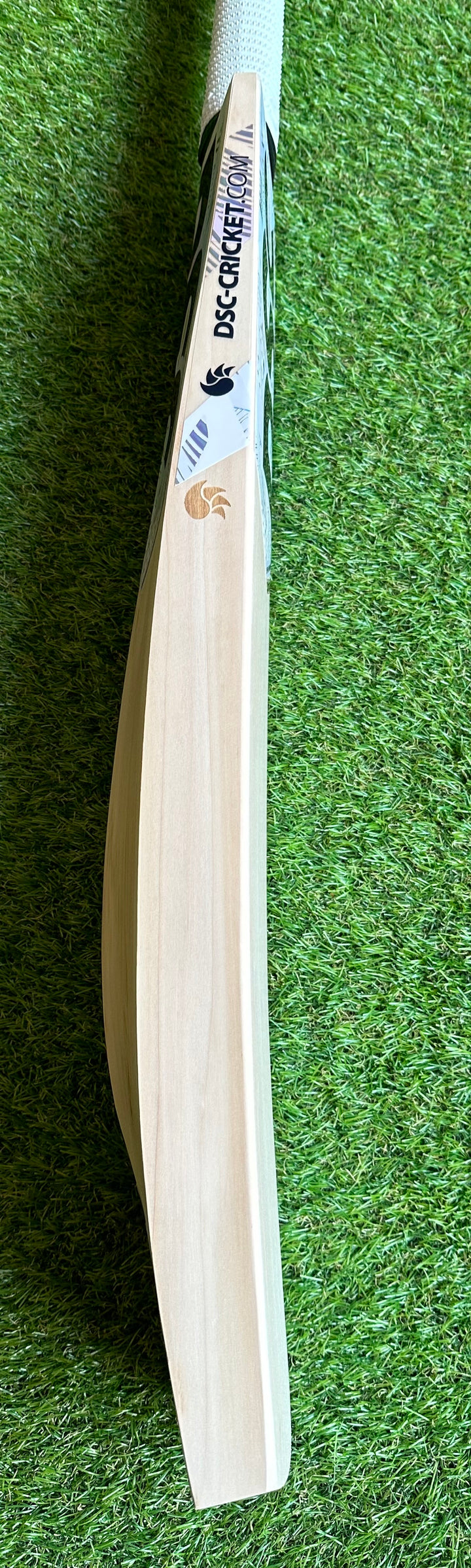 DSC Condor Glider Cricket Bat