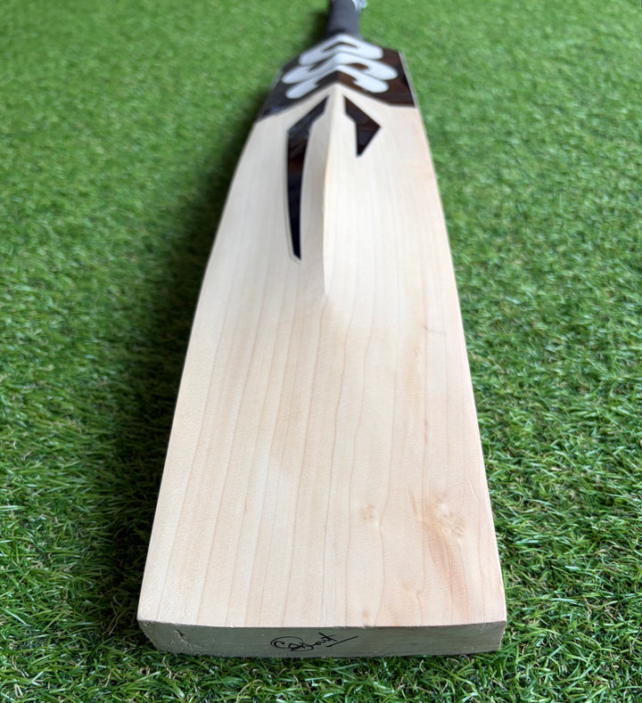 DSC Blak 450 Cricket Bat