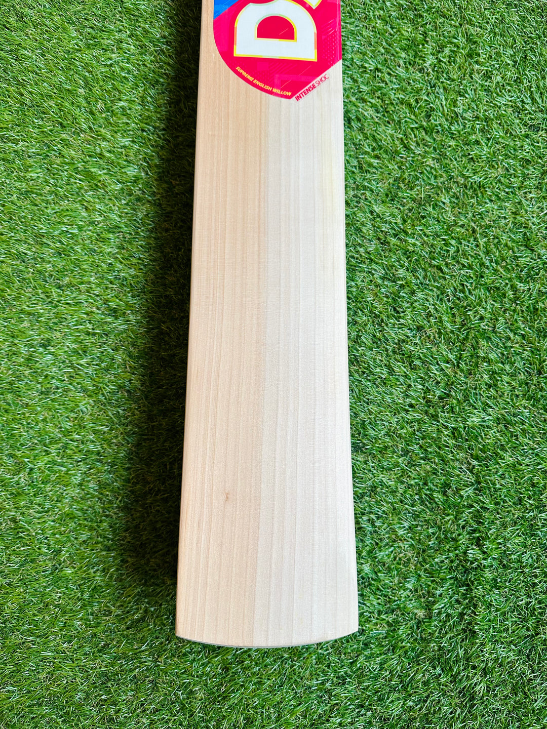 DSC Intense Shoc Cricket Bat