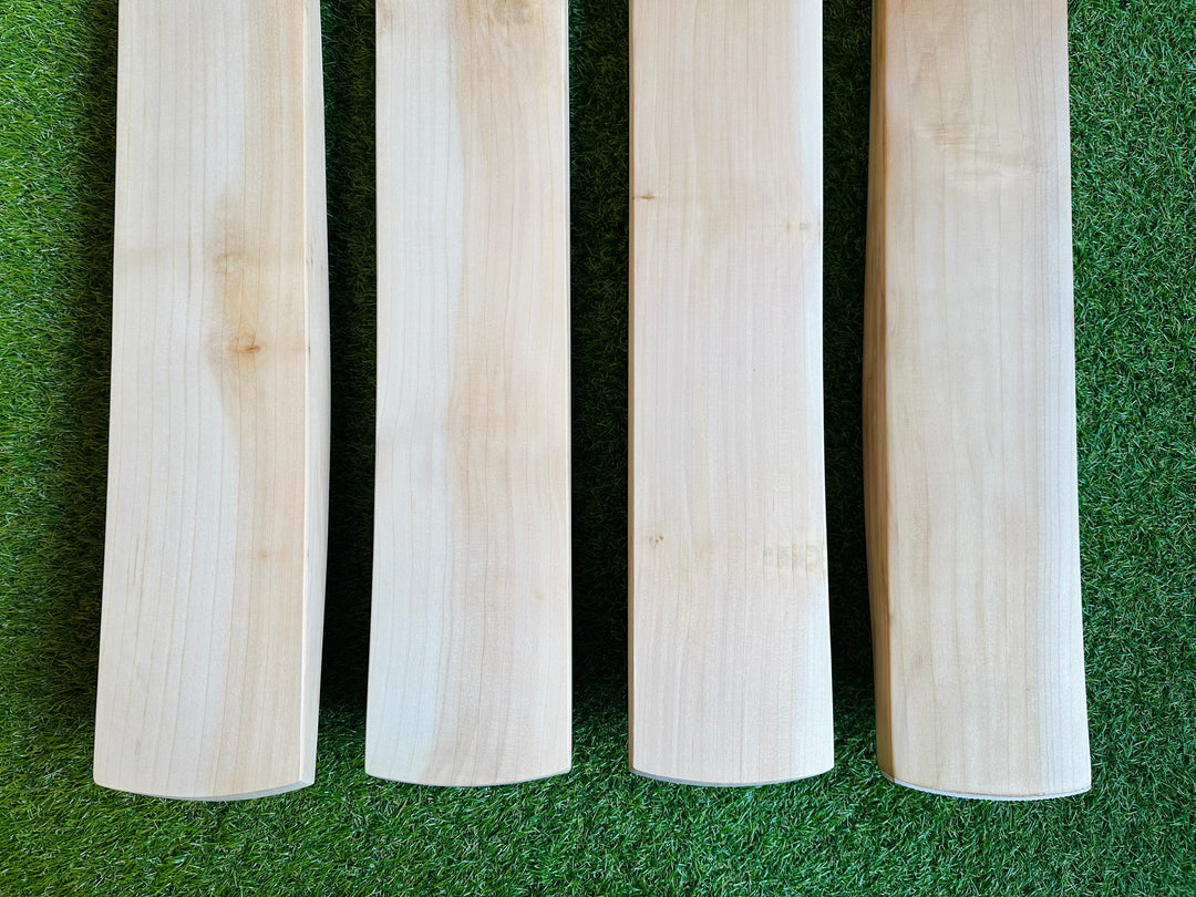 Plain Butterfly English Willow Cricket Bat