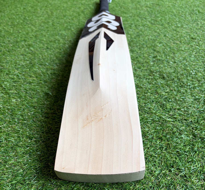DSC Blak 400 Cricket Bat