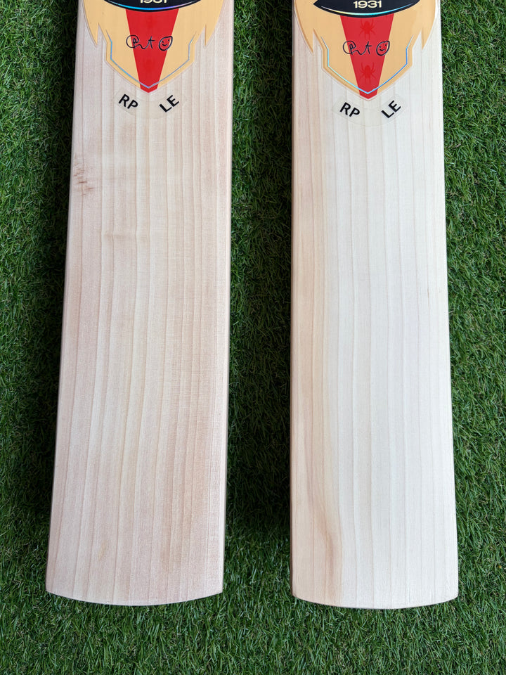 SG RP LE Cricket Bat | Size 6 | New Model