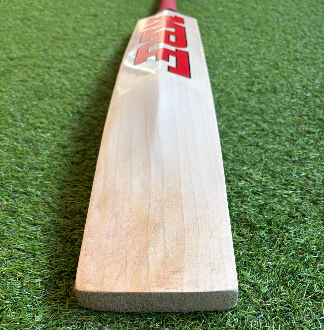 MRF Prince Edition Cricket Bat | New Model