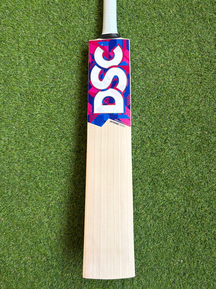 DSC Intense Shoc Cricket Bat