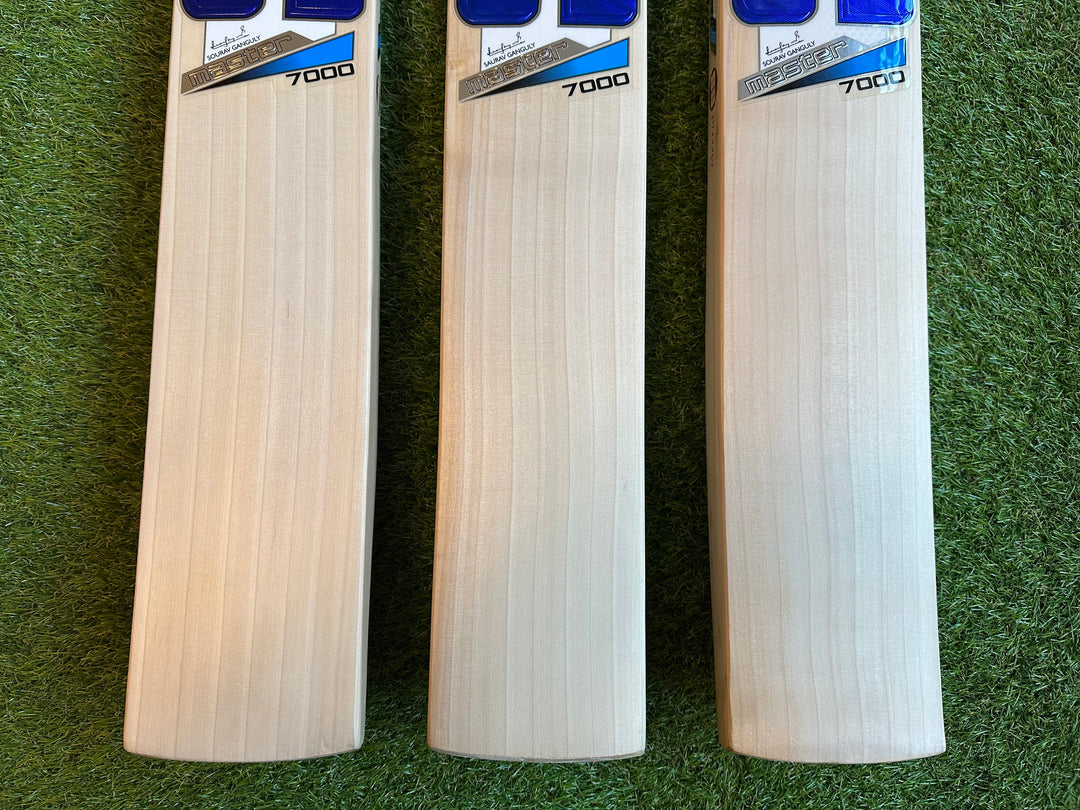 SS TON Master Pro 7000 Cricket Bat | David Malan | Phil Salt