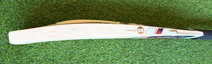 SS TON Gladiator Cricket Bat