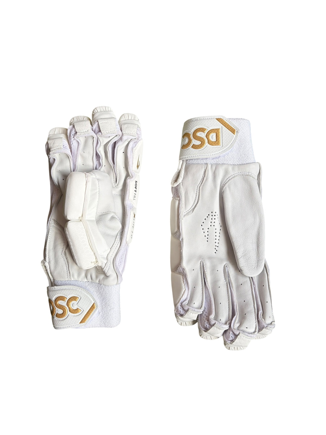 DSC Xlite 1.0 Cricket Batting Gloves