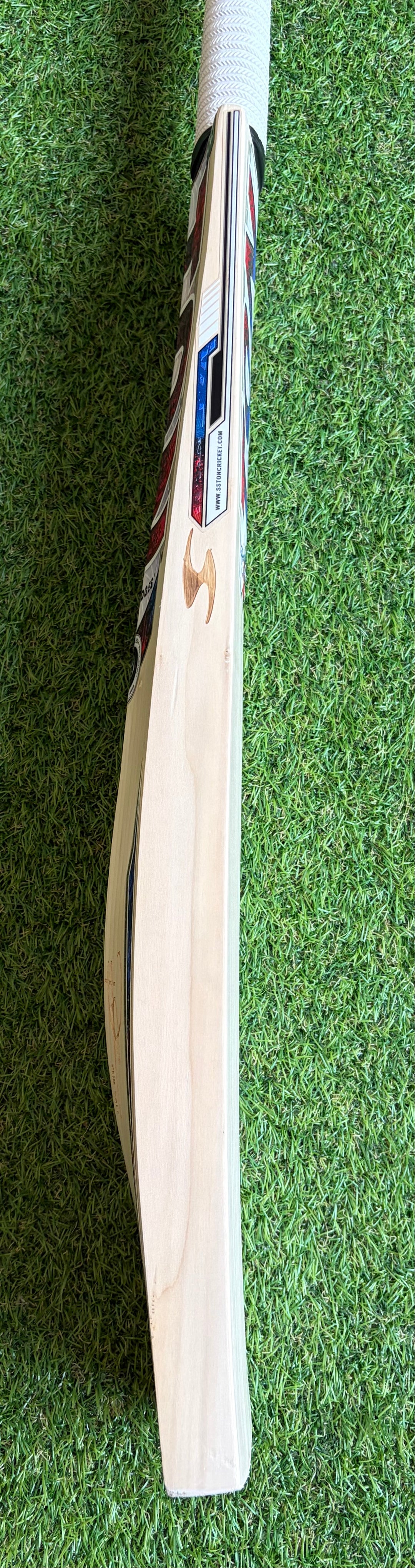 SS TON Phil Salt Players Cricket Bat | Size 6