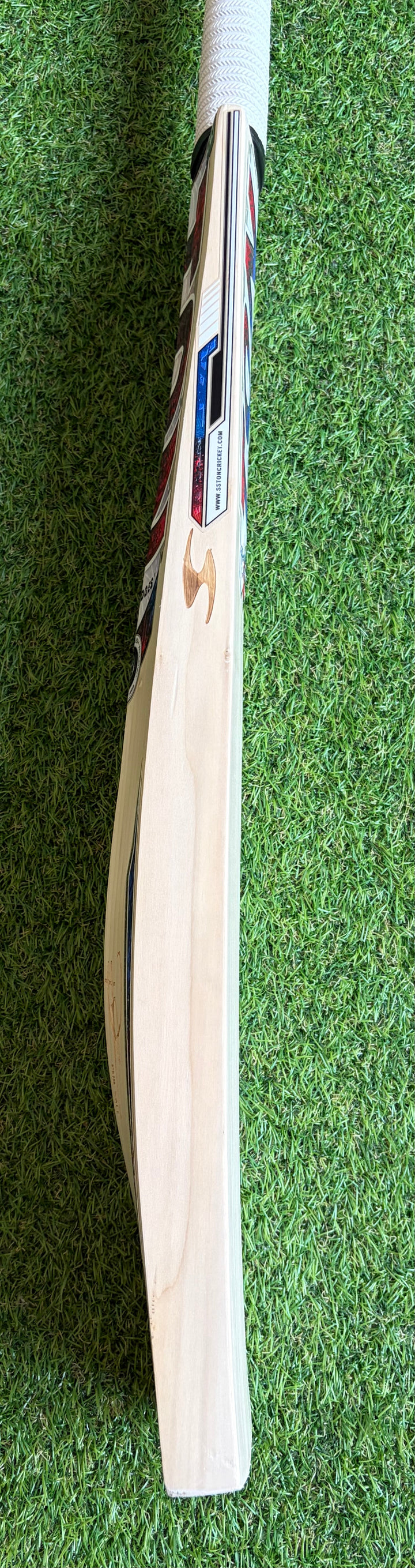 SS TON Phil Salt Players Cricket Bat | Size 6