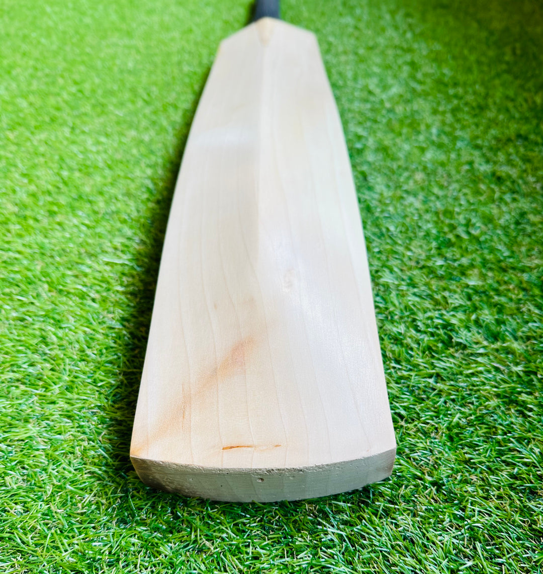 Plain Sachin Tendulkar Profile Cricket Bat 