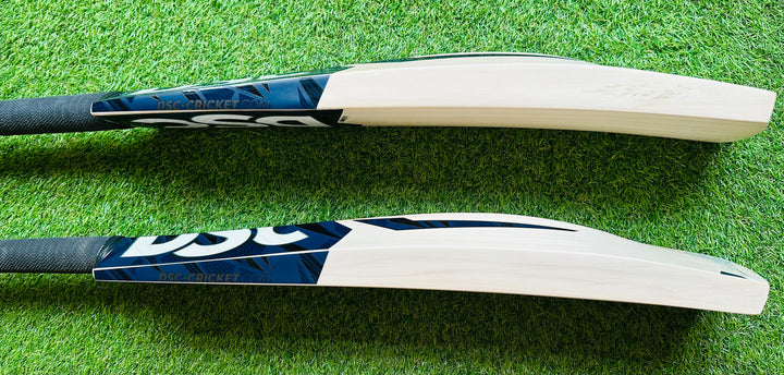 DSC Blak 500 Cricket Bat | 16 Grains