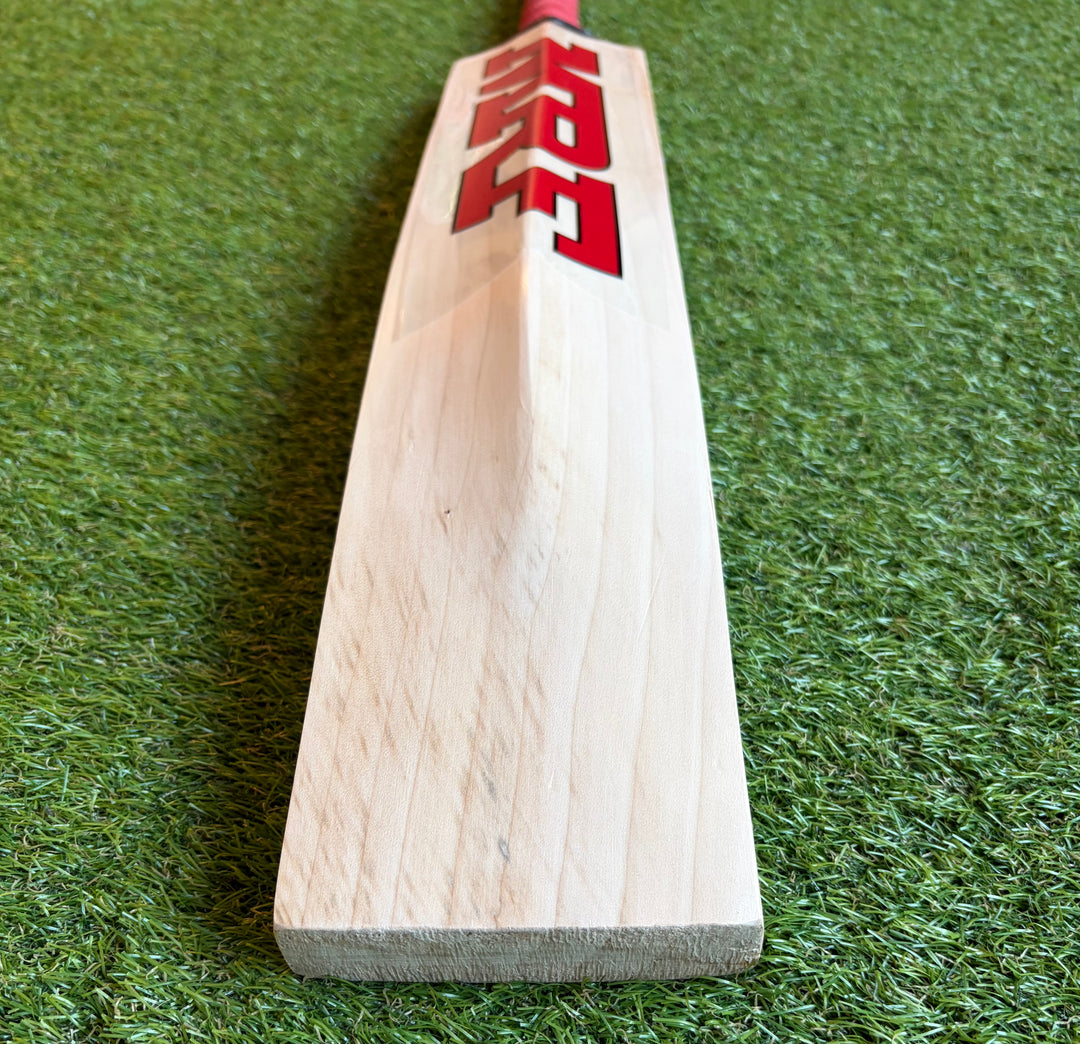 MRF Prince Edition Cricket Bat | New Model