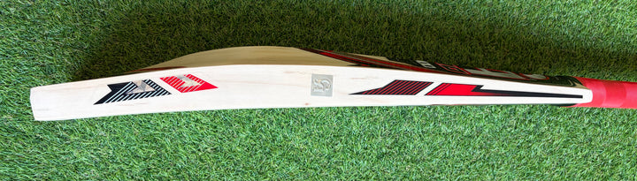 CA 12000 Pro Edition Cricket Bat