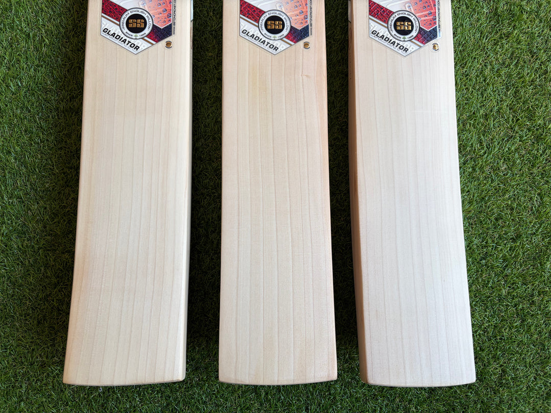 SS TON Gladiator Cricket Bat