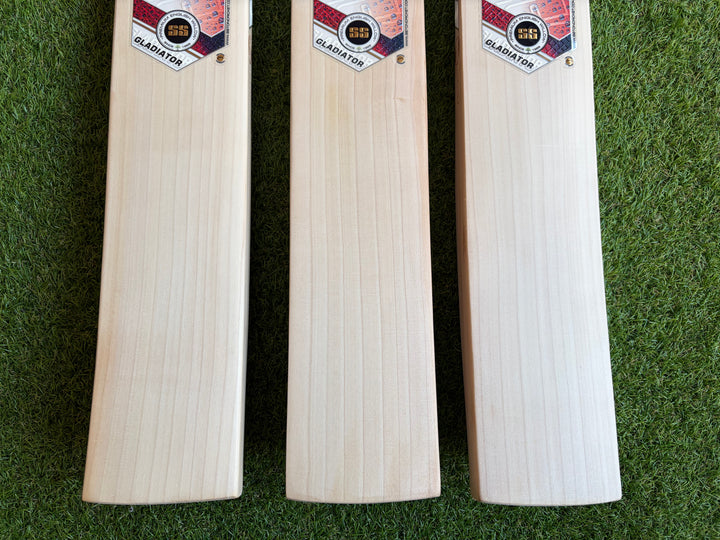 SS TON Gladiator Cricket Bat