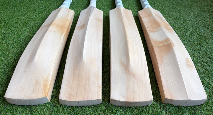 Plain Butterfly English Willow Cricket Bat