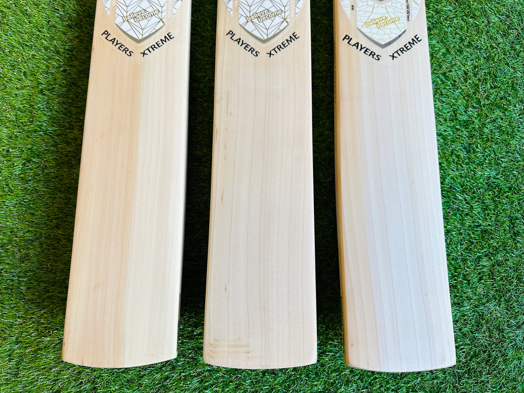 SG Players Xtreme Cricket Bat | 15 Grains