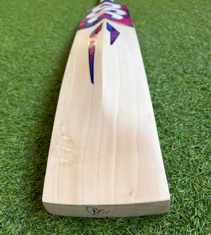 DSC Intense Shoc Cricket Bat