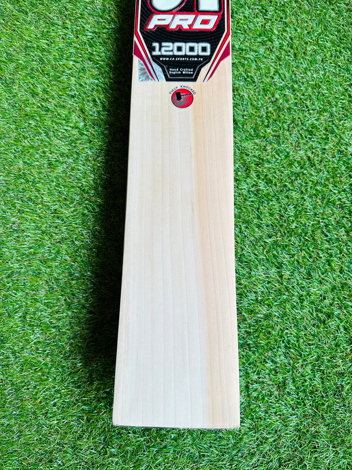 CA 12000 Pro Edition Cricket Bat