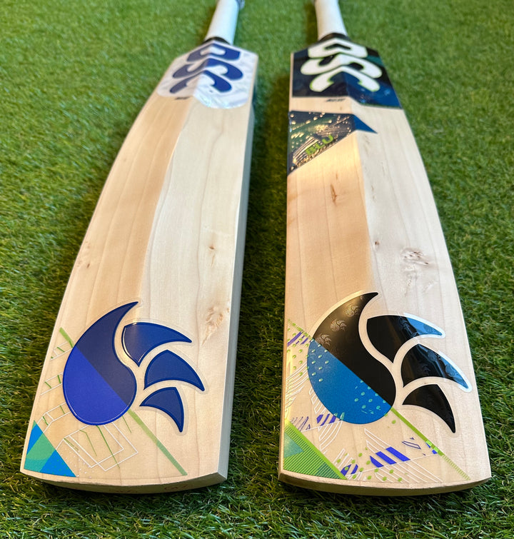 DSC Blu 300 Cricket Bat