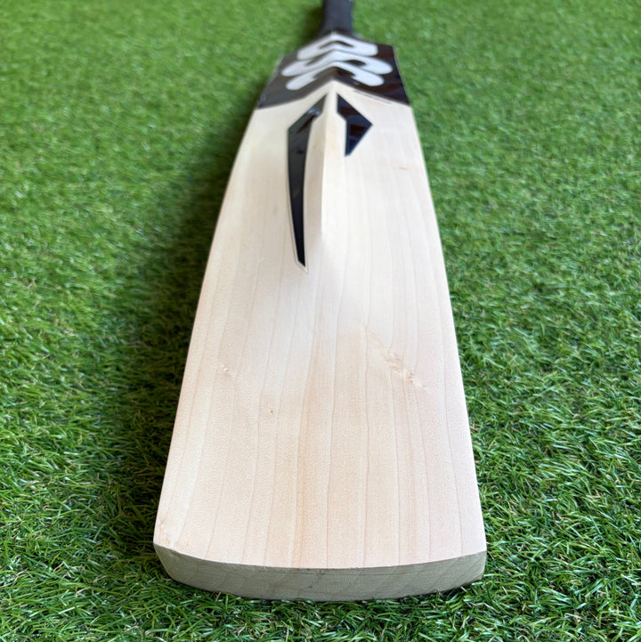 DSC Blak 500 Cricket Bat