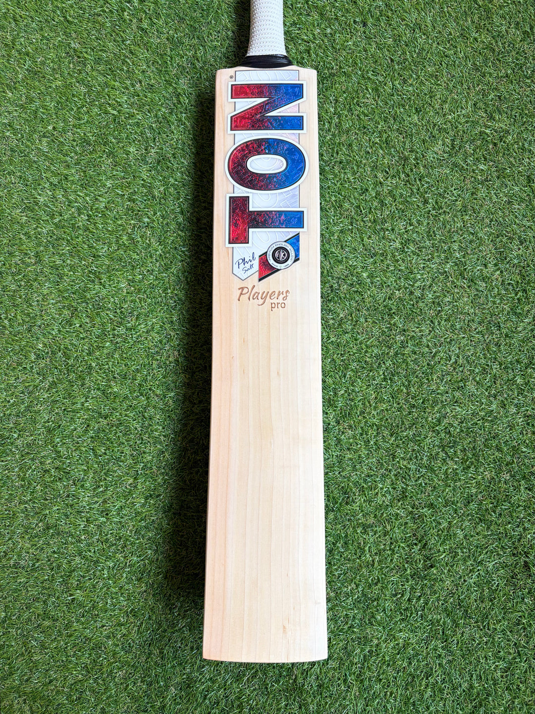 TON Players Pro Cricket Bat | Phil Salt | New Model