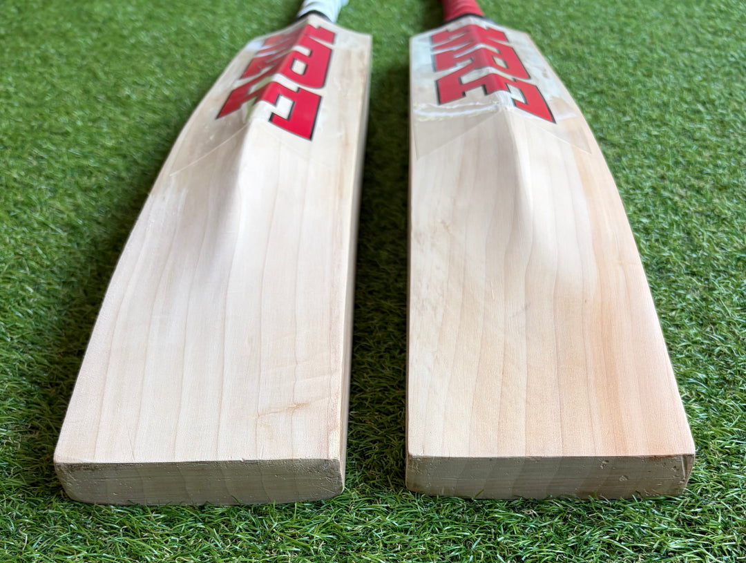 MRF Prince Edition Cricket Bat | New Model