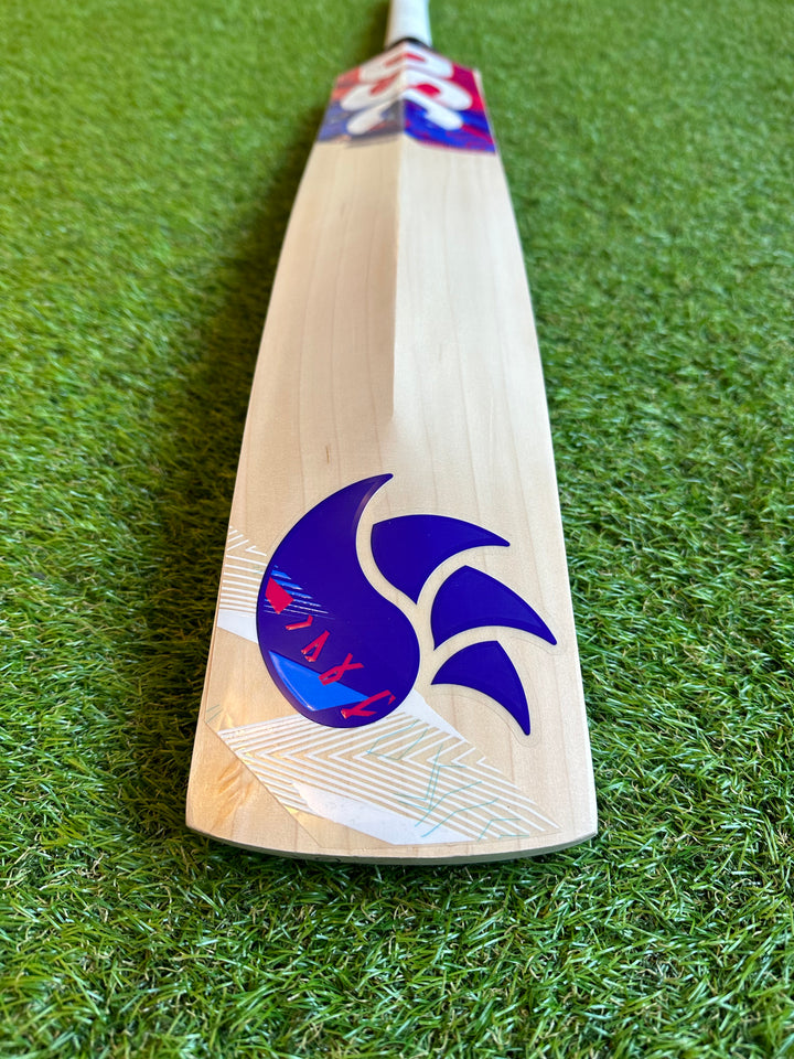 DSC Intense Passion Cricket Bat