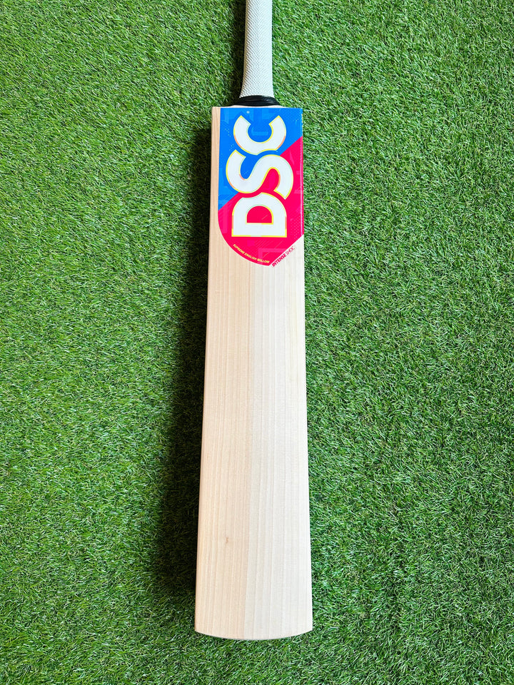 DSC Intense Shoc Cricket Bat