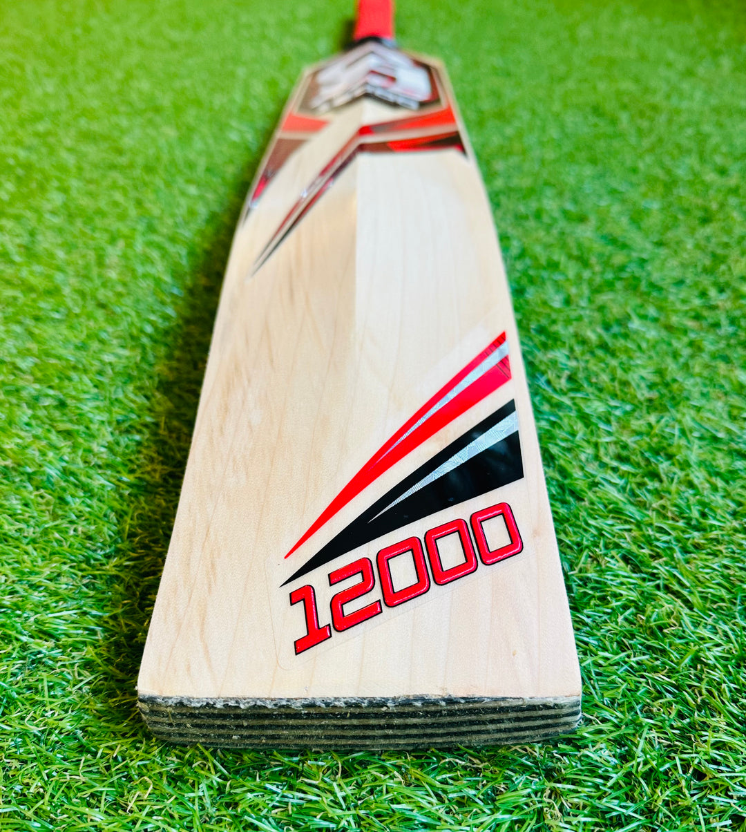 CA 12000 Pro Edition Cricket Bat