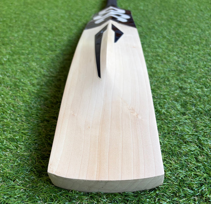 DSC Blak 500 Cricket Bat