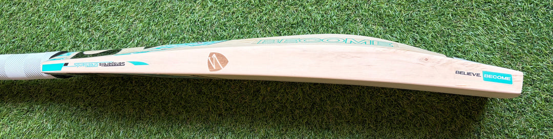 SG Players Edition Cricket Bat | New Model