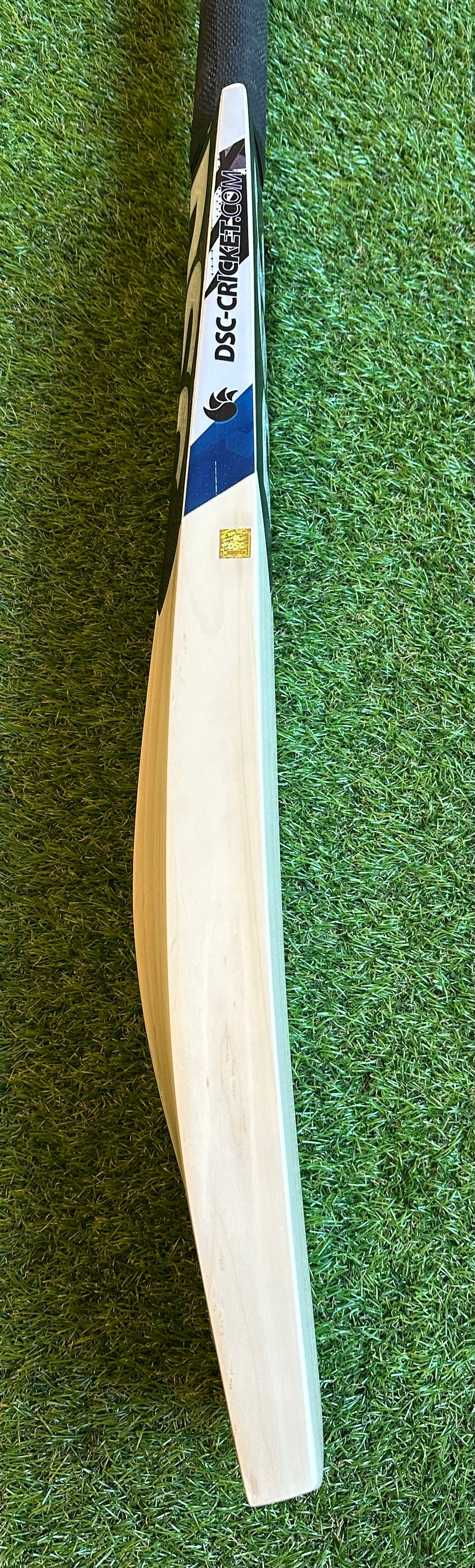 DSC Blak 450 Cricket Bat | New Model