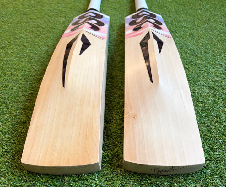 DSC Condor Glider Cricket Bat | New Model